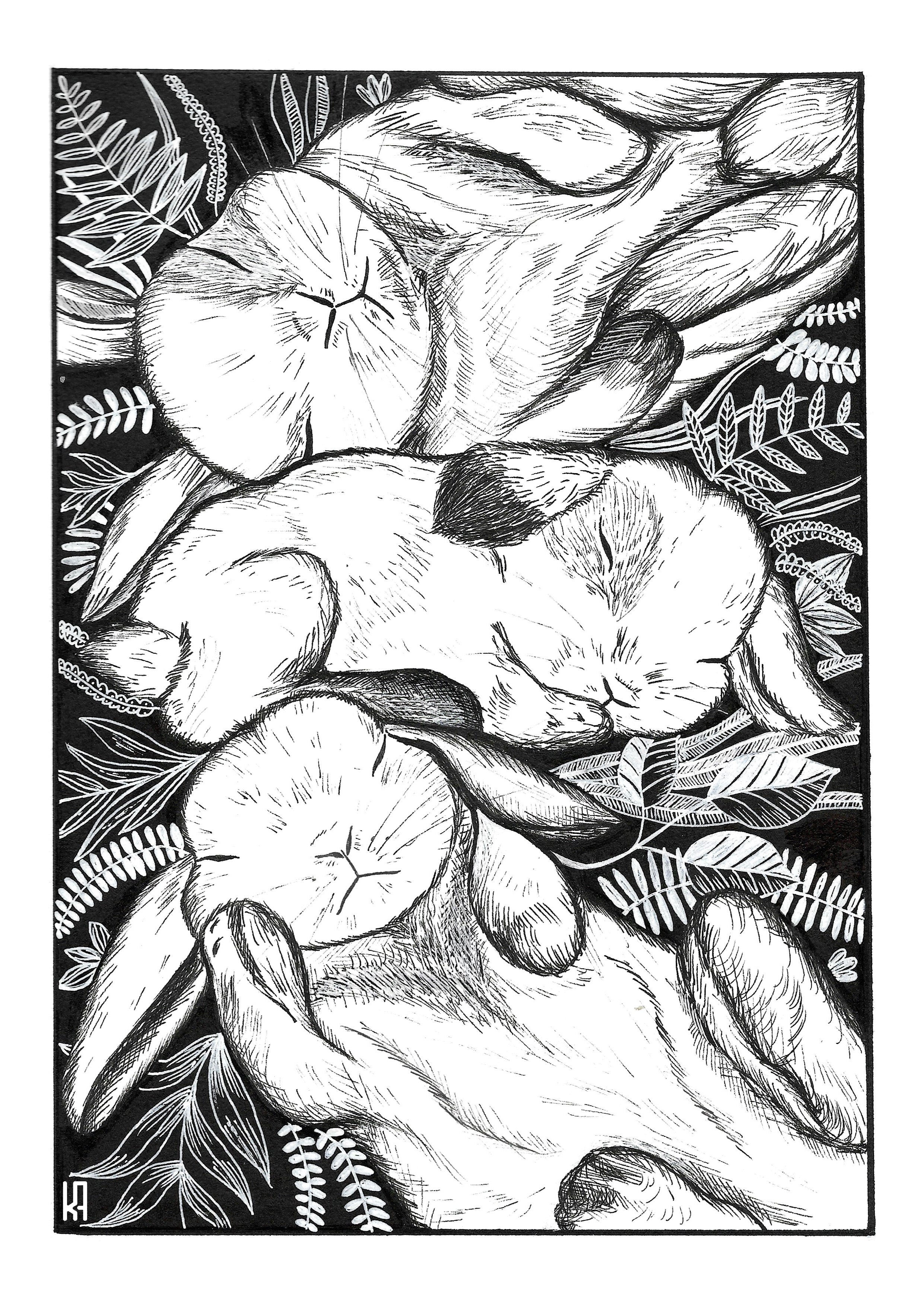 Emma's Bunnies Print