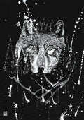 Shadows wolf