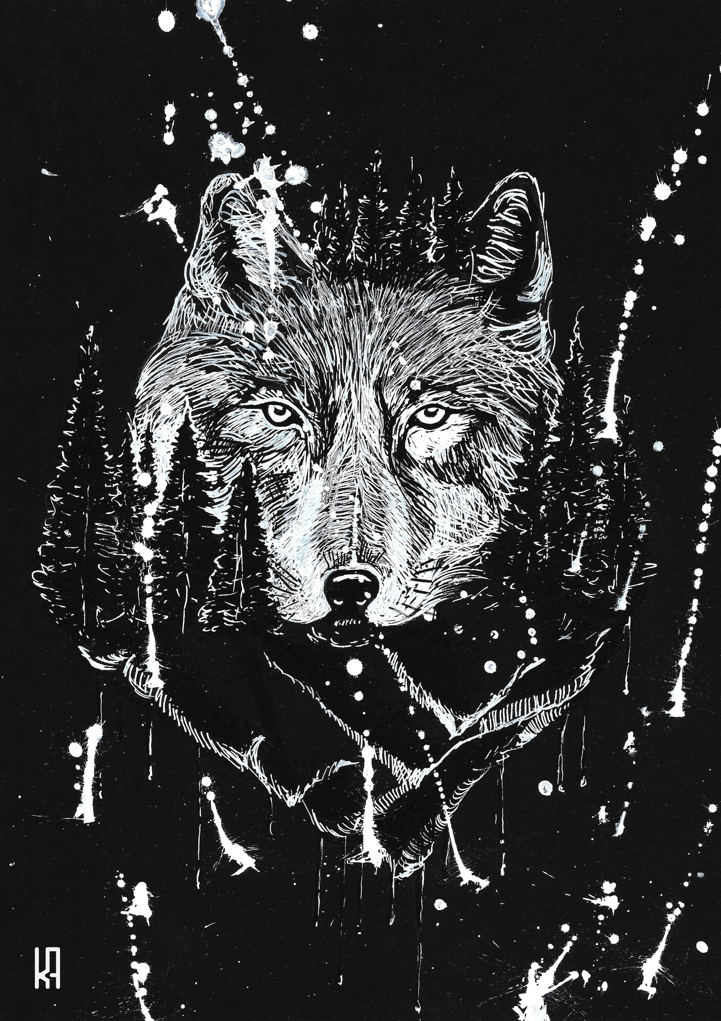 Shadows wolf