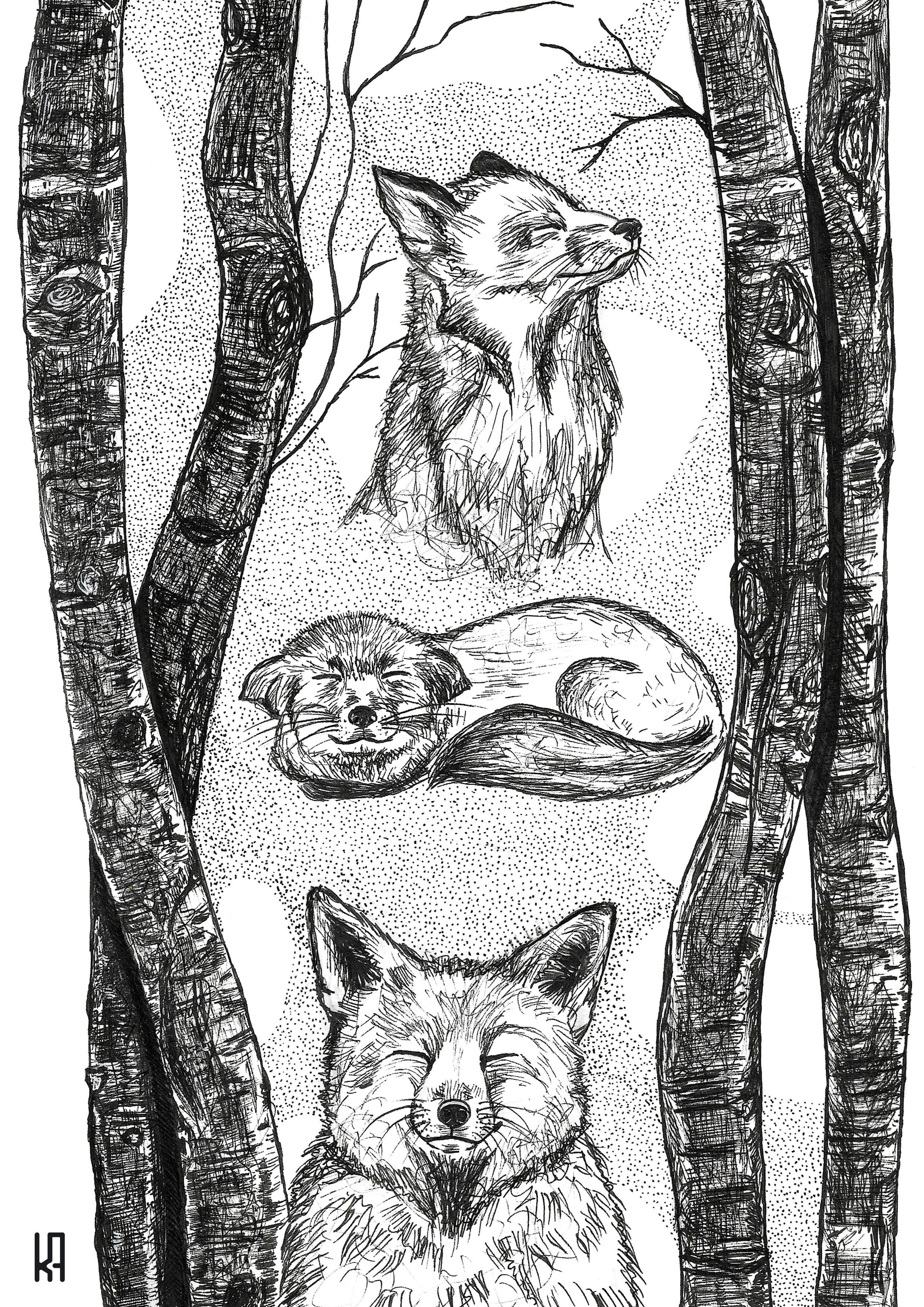 Between the trees