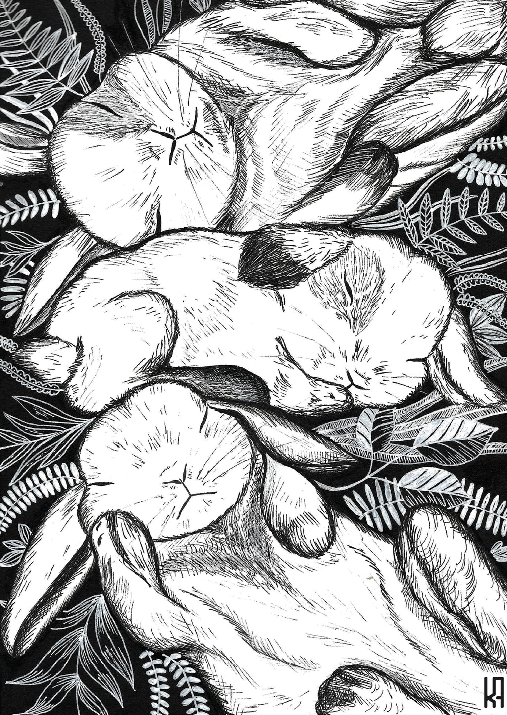 סט גלויות - מהדורה ראשונה