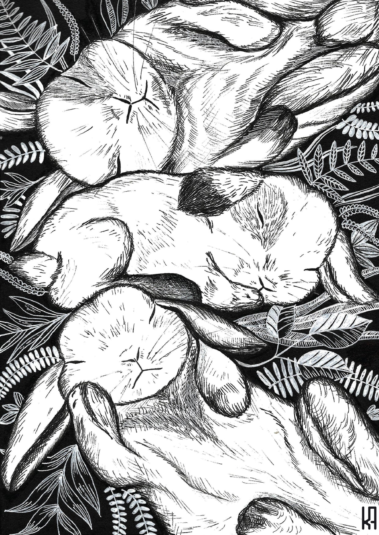 סט גלויות - מהדורה ראשונה