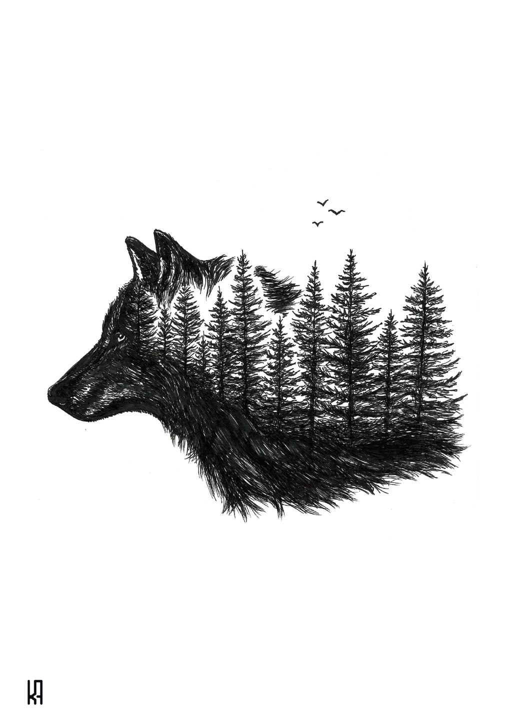 סט גלויות - מהדורה ראשונה