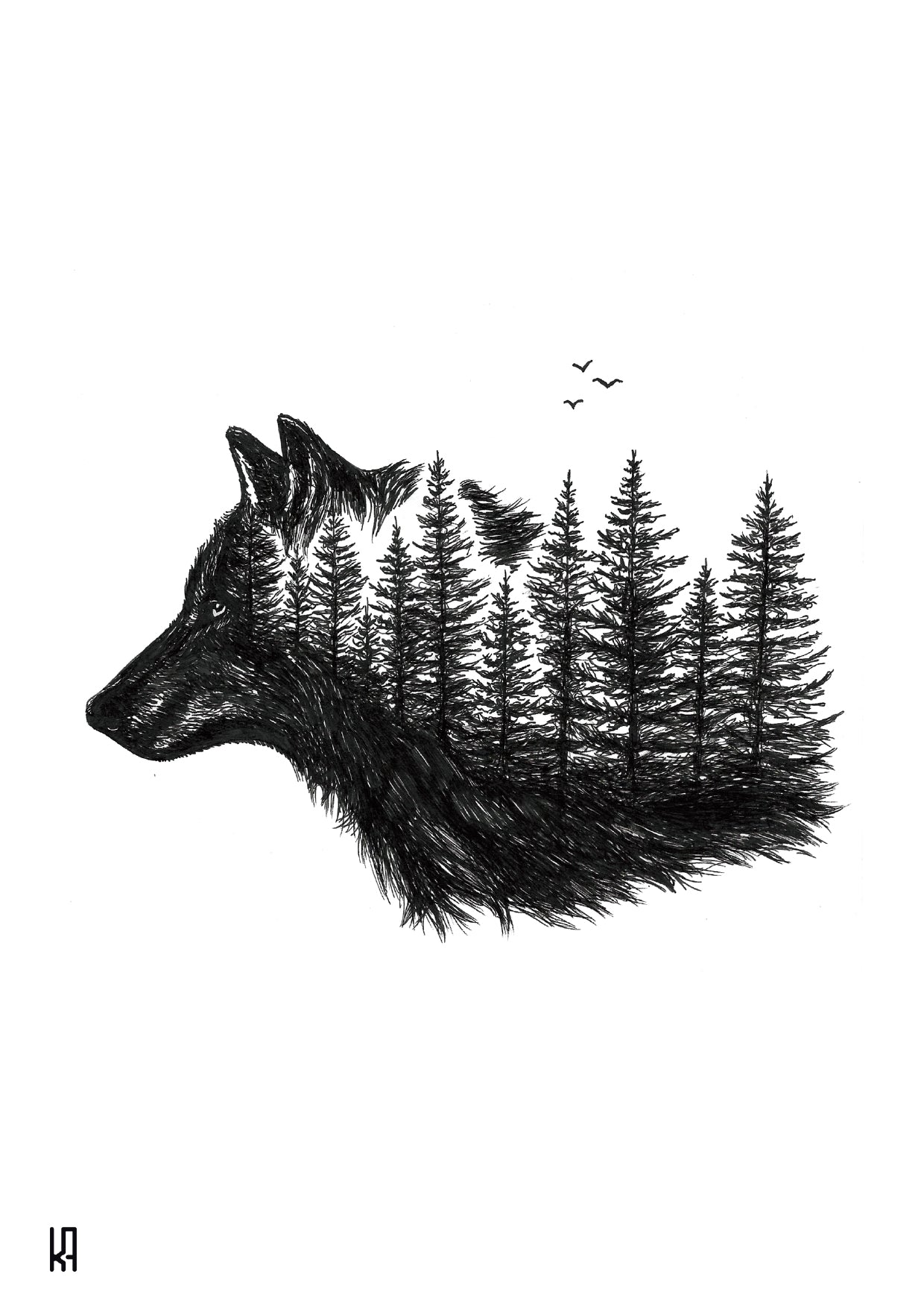 סט גלויות - מהדורה ראשונה