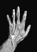 Study of an Open Hand